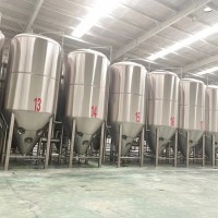 大型啤酒厂酿酒设备 10吨啤酒发酵罐啤酒设备厂家