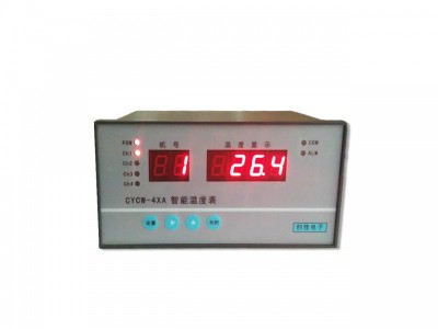 CYCW-4XA温湿度显示仪