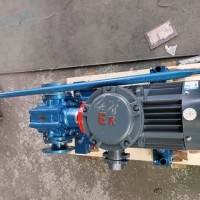 ZYB渣油泵 硬齿面耐磨齿轮泵 支持定制 天一泵业