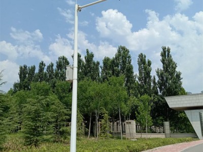 天津监控杆3米5监控立杆小区监控杆