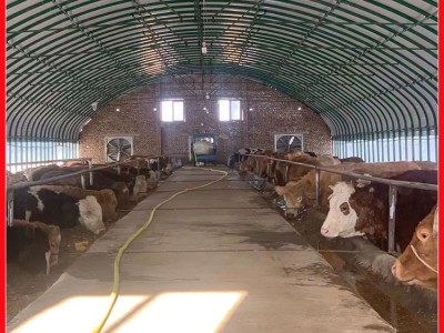 新型养牛大棚搭建 肉牛养殖棚建设 养牛棚规划设计图纸