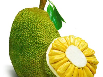 进口越南菠萝蜜清关时包装要求 一、包装厂管理