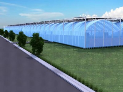 【荣创农业】8430型薄膜连栋温室大棚设计建造注意事项及造价
