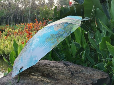 油画雨伞五折超轻伞，铝骨纤维架小巧，数码印满版印花工艺