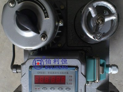 角行程电动执行机构 SKJ-3100CX 户外型阀门电动装置