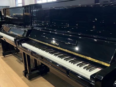 苏州指精灵钢琴工厂 教学用钢琴租赁 家用儿童练习用琴出售