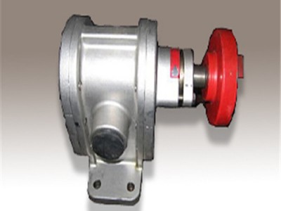 不锈钢齿轮泵导热油泵燃油输送泵泰盛泵阀