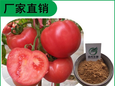 森冉生物 番茄提取物 番茄红素 西红柿提取物