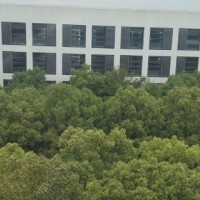 工厂直售 高透光隔热窗膜 无刺鼻气味 无掉色褪色安全防爆